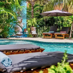 https://pietermaai-apartments.comcaribbean.com